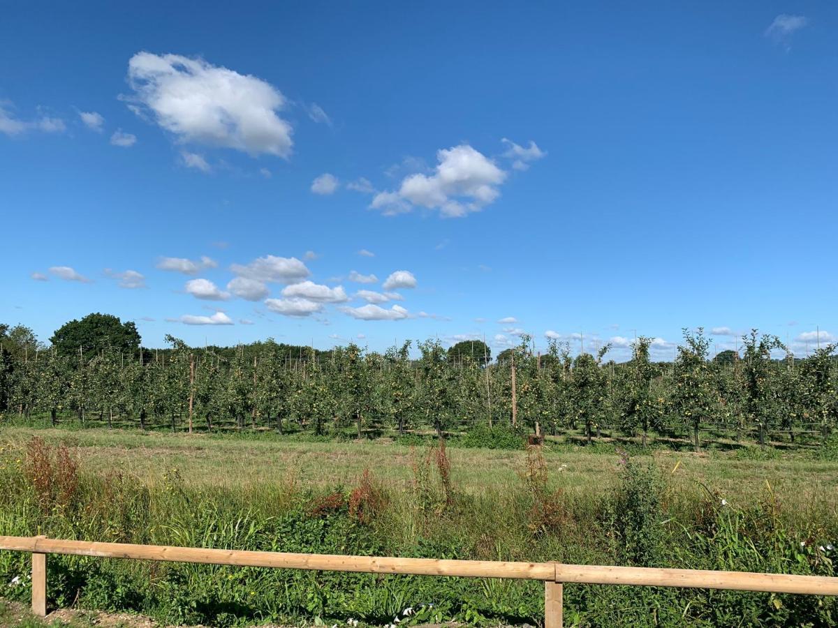 Blackberry Cottage Sutton Valence エクステリア 写真